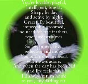 CatPoem1.jpg (21948 bytes)