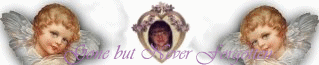 NoraBanner.gif (106493 bytes)