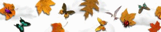 TomsBanner.gif (87740 bytes)