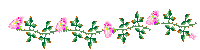 littleflowerbar.gif (2100 bytes)